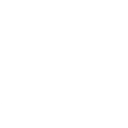 costumer